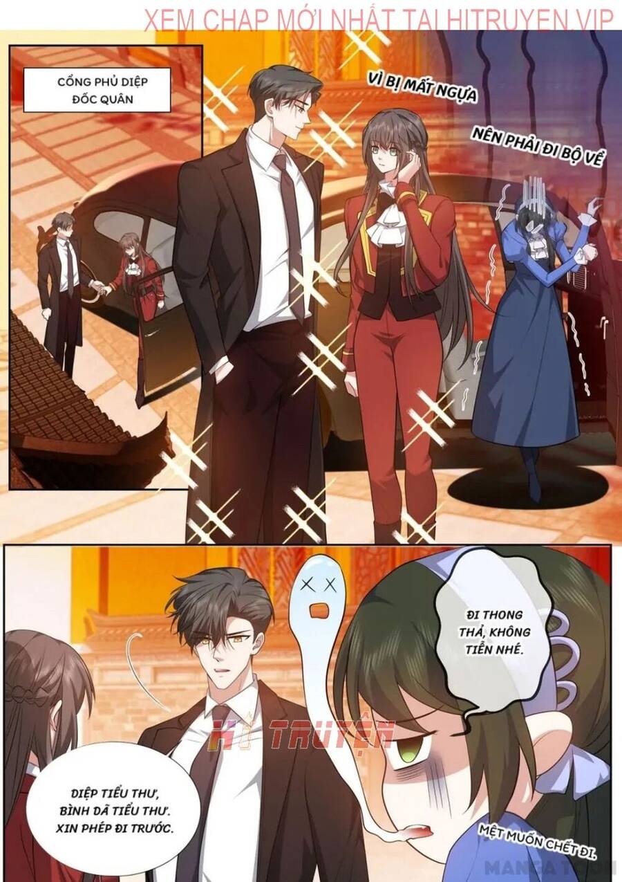 Thiếu Soái! Vợ Ngài Lại Bỏ Trốn Chapter 488 - Trang 0