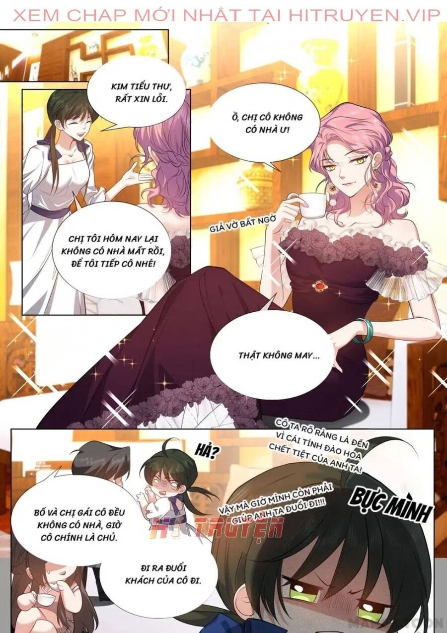 Thiếu Soái! Vợ Ngài Lại Bỏ Trốn Chapter 491 - Trang 0