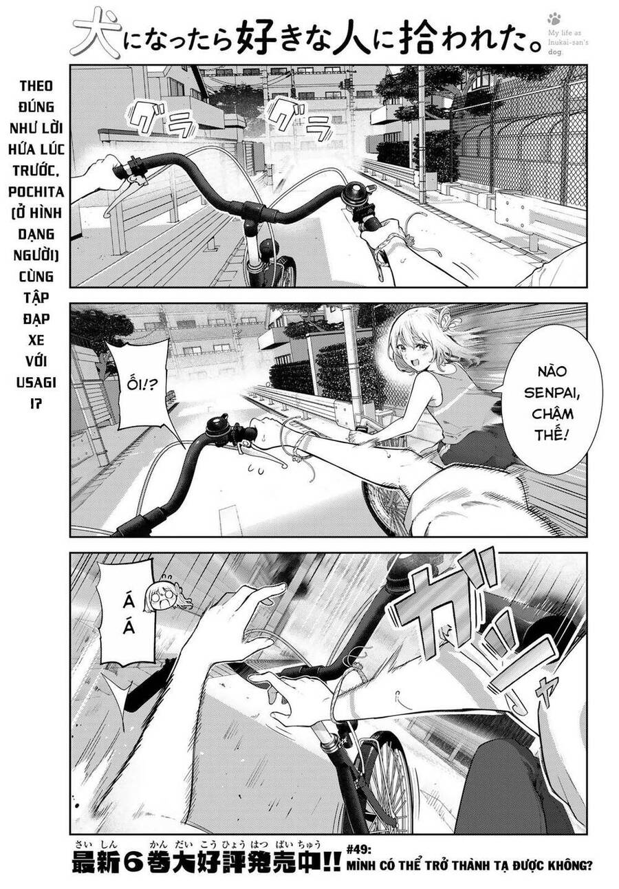 Cuộc Sống Khi Là Chó Cưng Của Inukai-San Chapter 49 - Trang 0