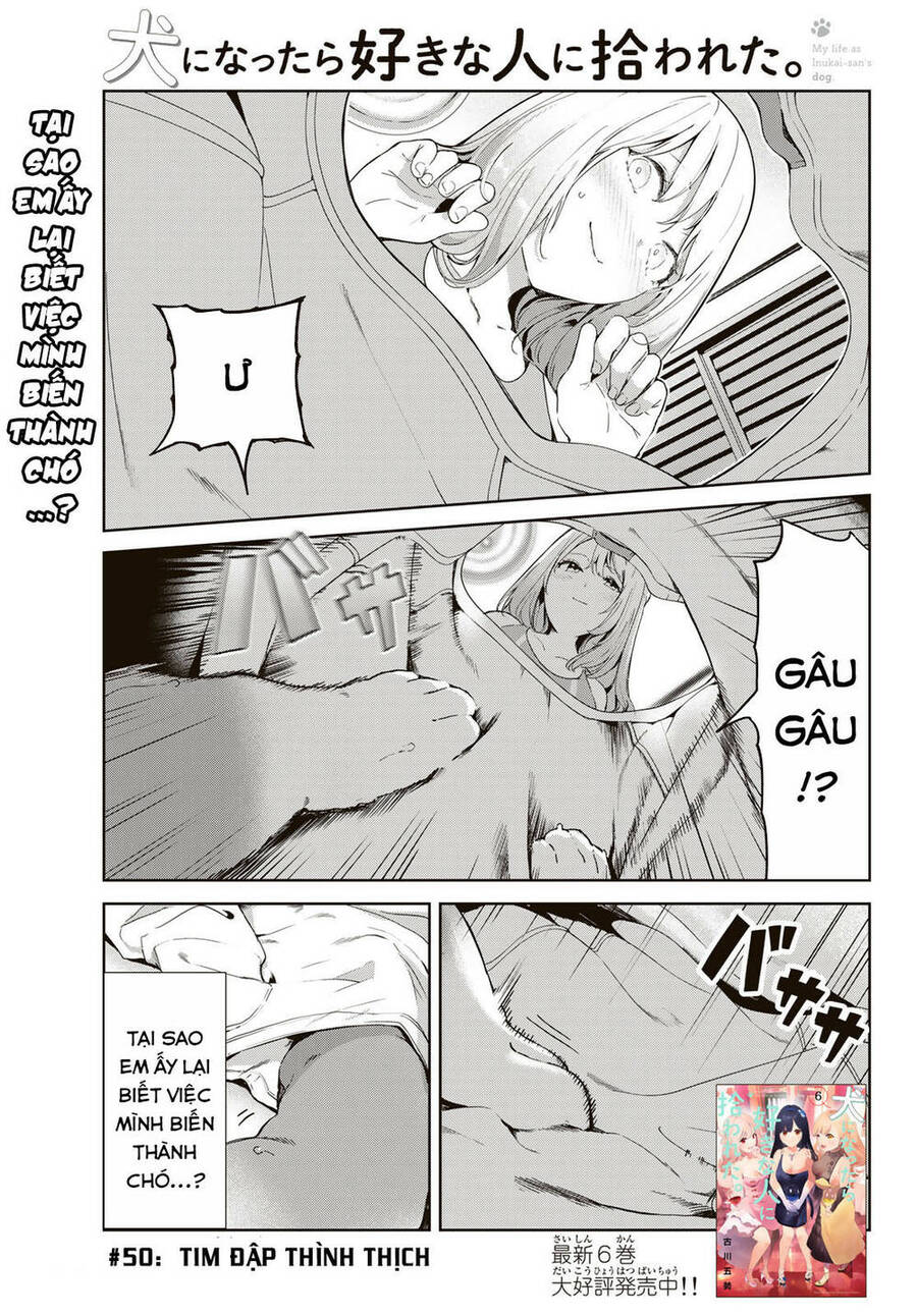 Cuộc Sống Khi Là Chó Cưng Của Inukai-San Chapter 50 - Trang 0