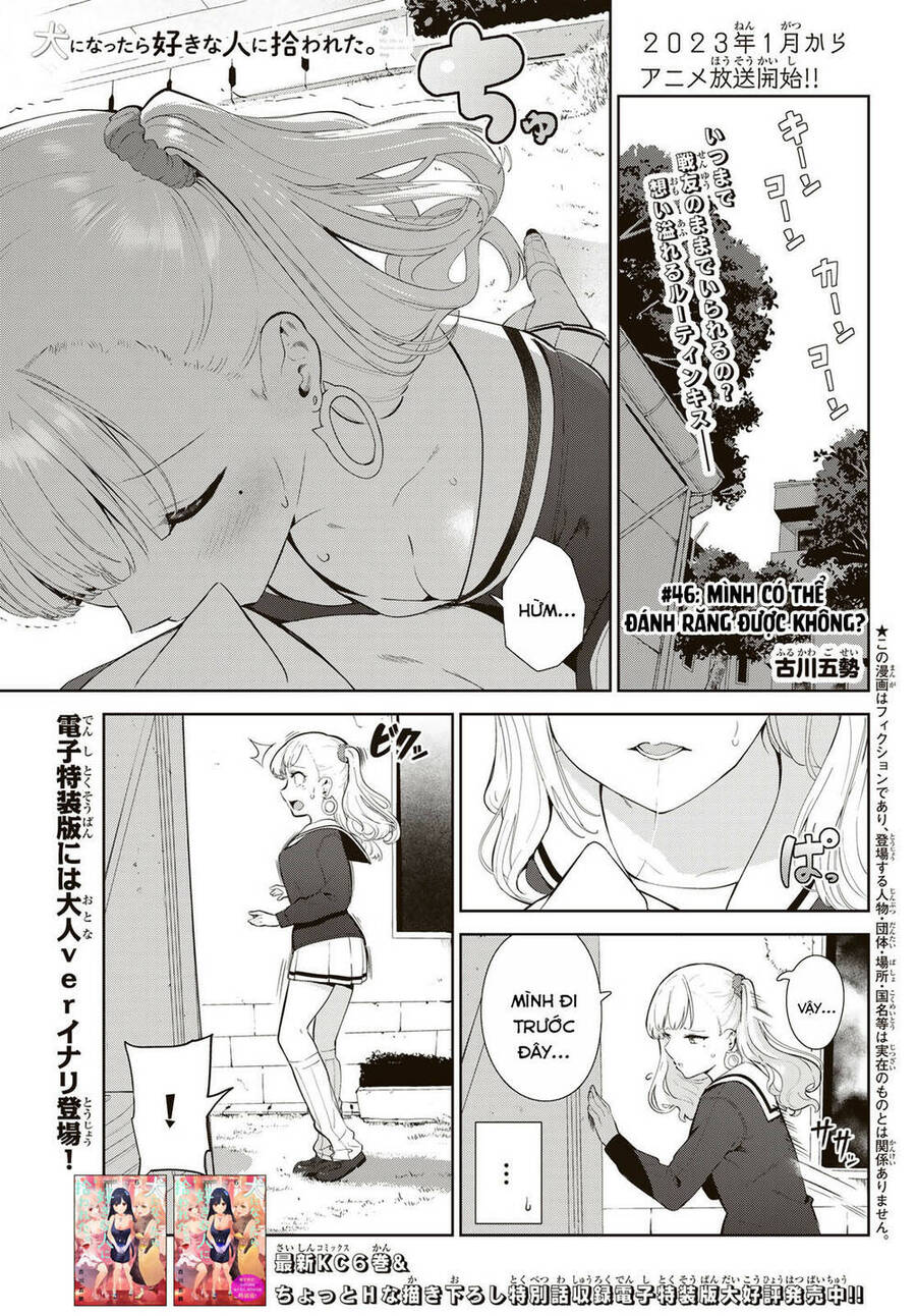 Cuộc Sống Khi Là Chó Cưng Của Inukai-San Chapter 46 - Trang 0