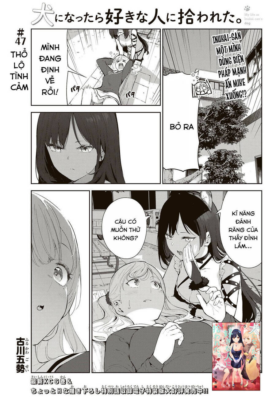 Cuộc Sống Khi Là Chó Cưng Của Inukai-San Chapter 47 - Trang 0
