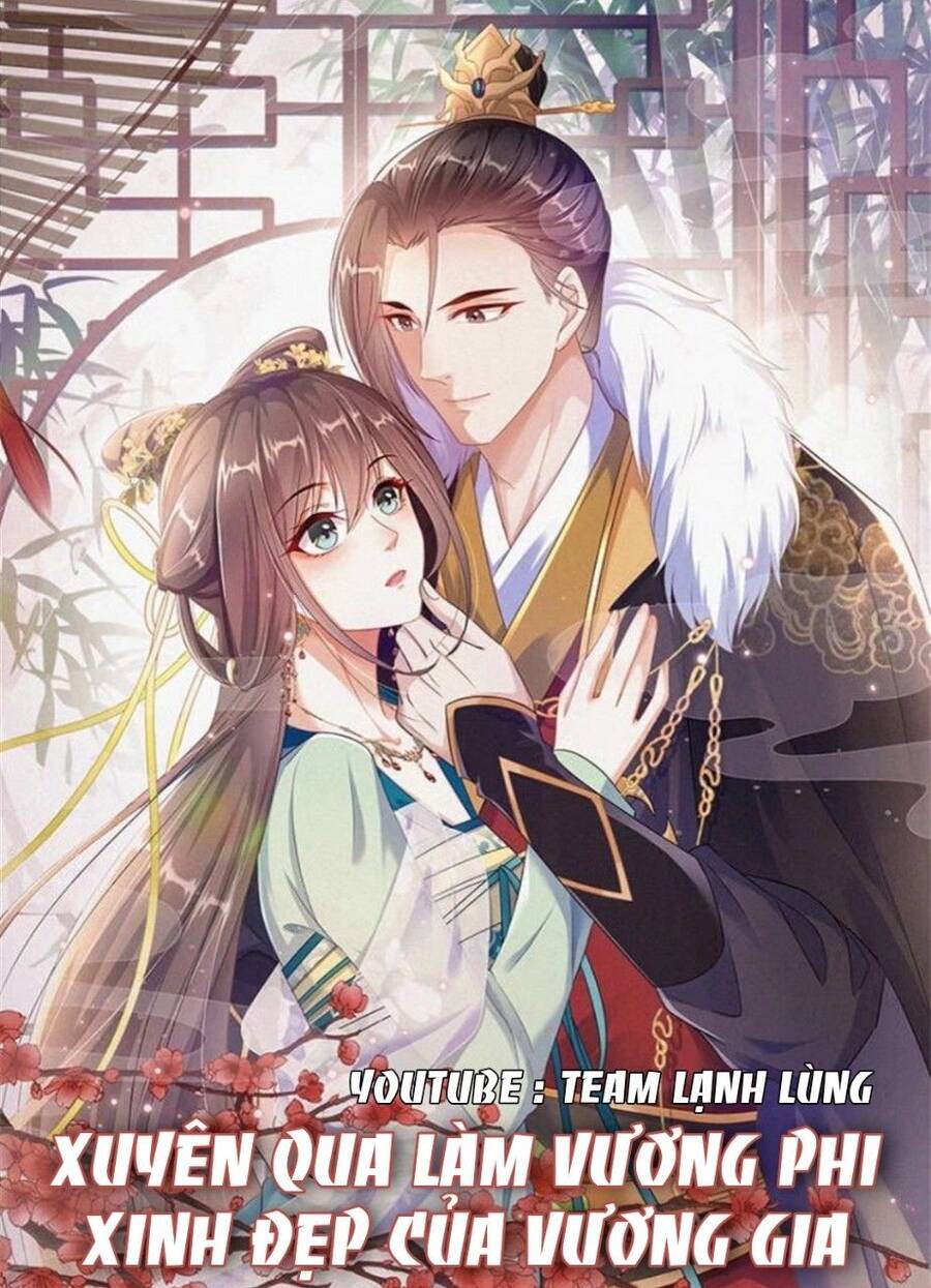 Xuyên Qua Làm Vương Phi Xinh Đẹp Của Vương Gia Chapter 28 - Trang 0