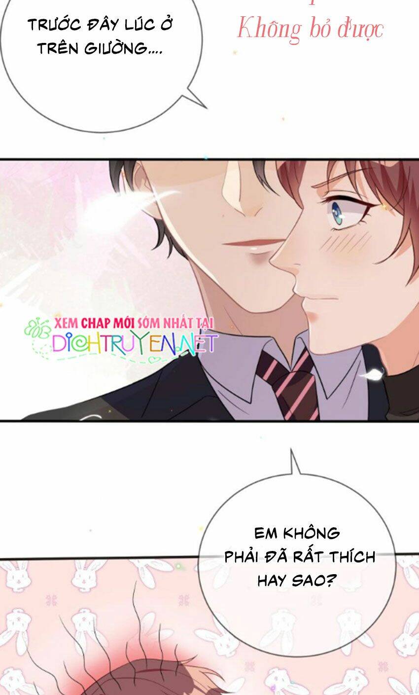 Ảnh Đế Làm Loạn Đòi Ly Hôn Chapter 11 - Trang 1