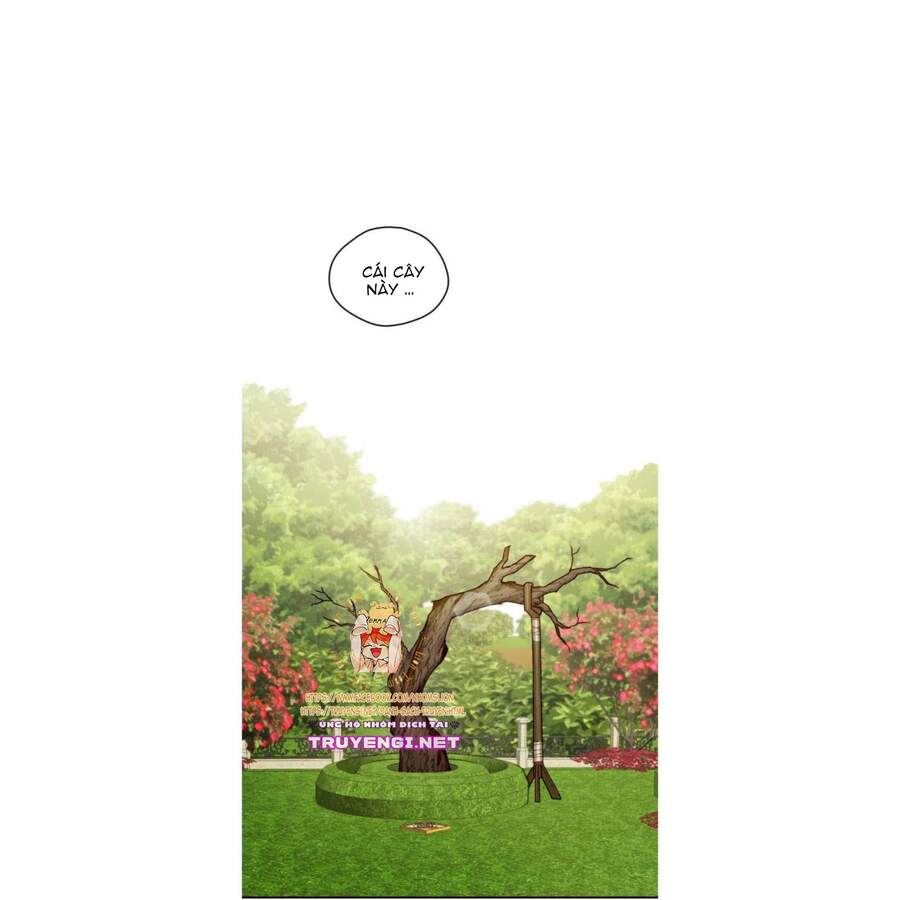 Nữ Chính Muốn Tôi Trở Thành Mẹ Kế Chapter 12 - Trang 1