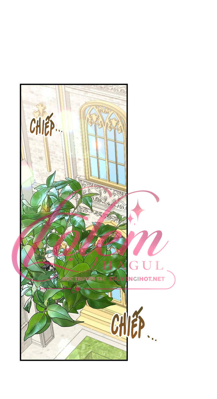 Công Tước, Loạn Vừa Thôi! Chapter 126 - Trang 1