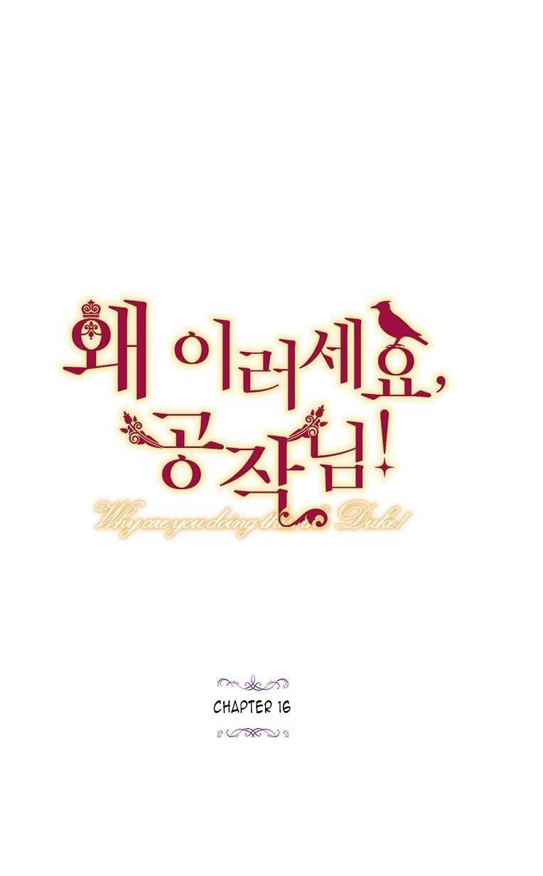 Công Tước, Loạn Vừa Thôi! Chapter 16 - Trang 1