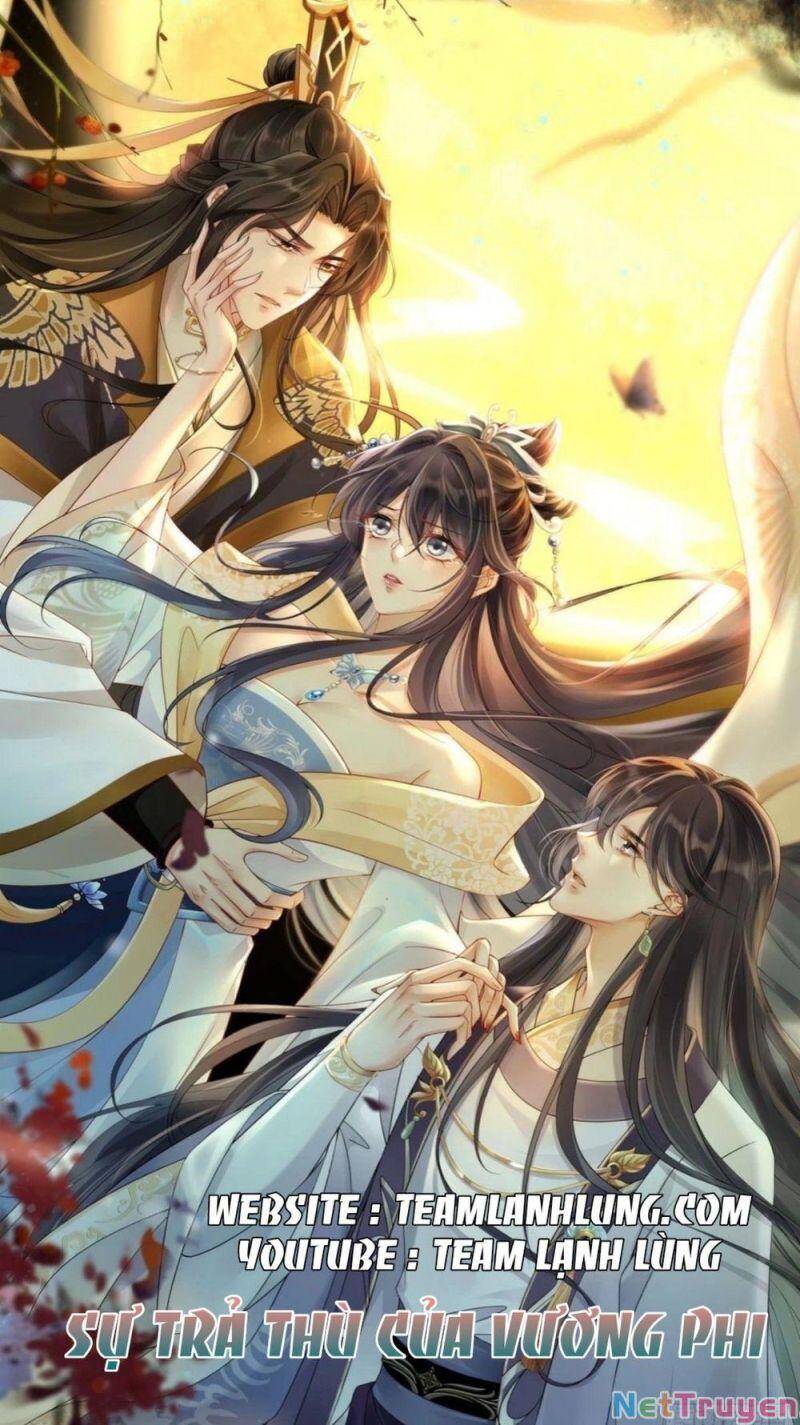 Sự Trả Thù Của Vương Phi Chapter 8 - Trang 0
