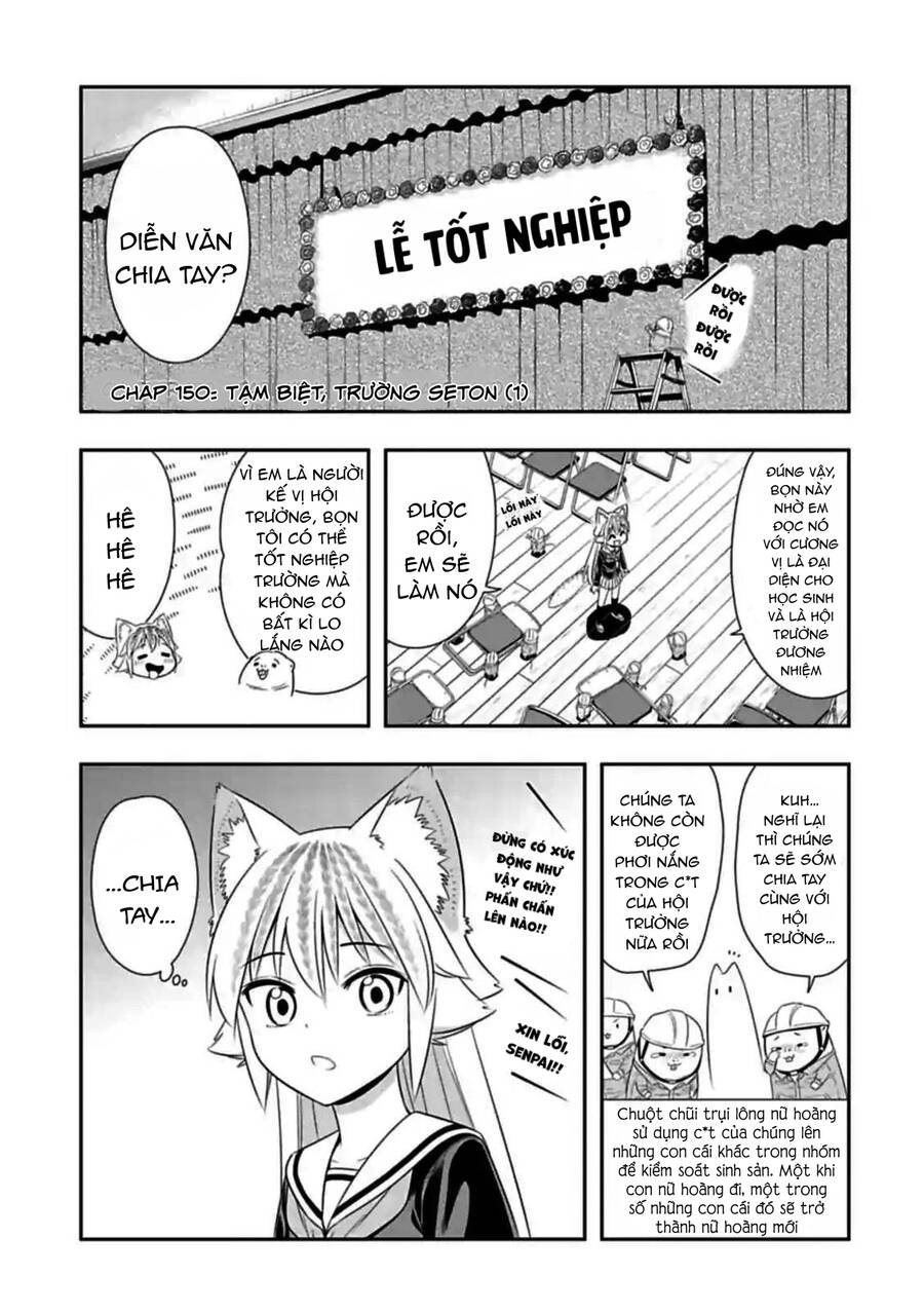 Murenase! Shiiton Gakuen Chapter 150 - Trang 0