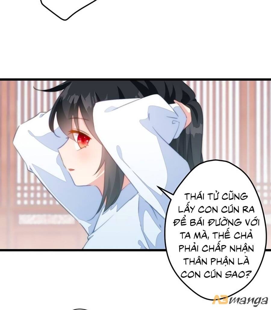 Bạo Sủng Tiểu Manh Phi Chapter 8 - Trang 1
