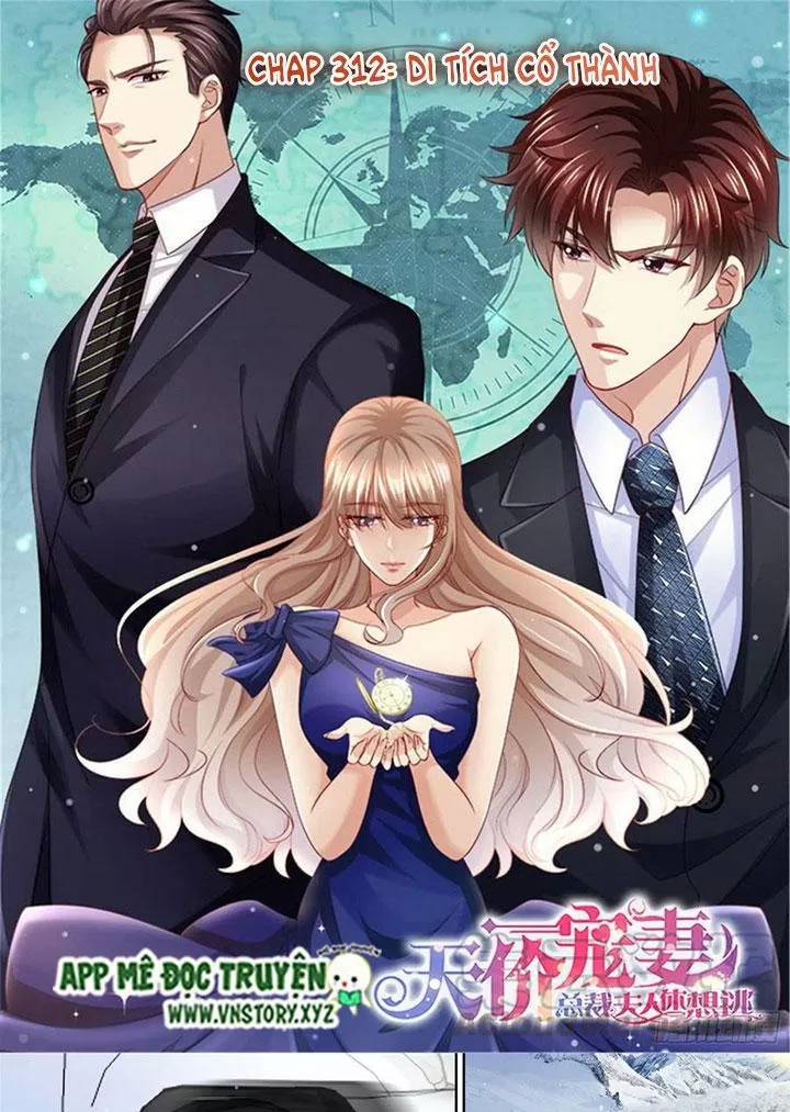 Cưng Chiều Vợ Yêu Chapter 312 - Trang 0