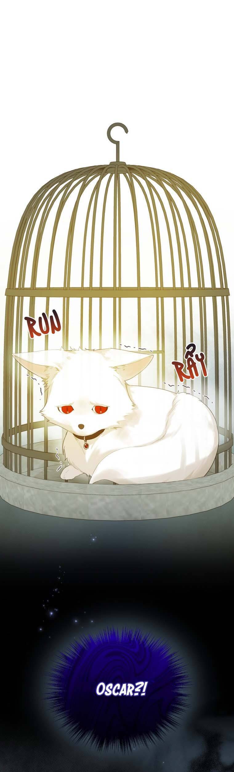 Tôi Trở Thành Em Gái Của Nam Chính Tiểu Thuyết Bl Chapter 11 - Trang 0
