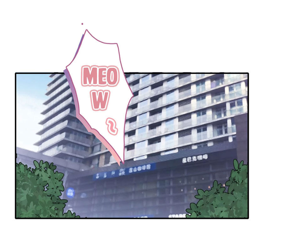 Hẹn Hò Siêu Tốc Chapter 1 - Trang 0