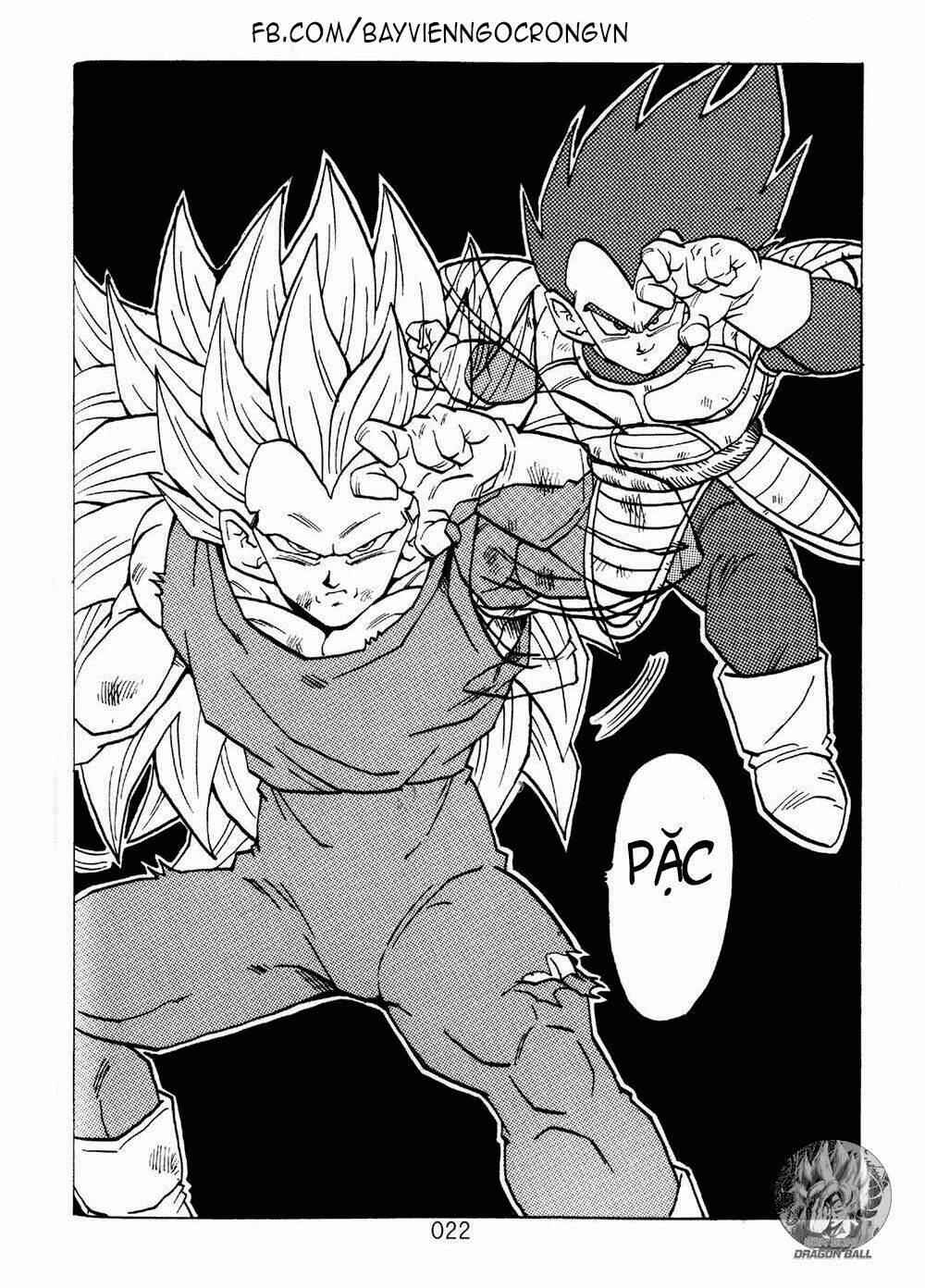 Dragon Ball After Chapter 11 - Trang 0