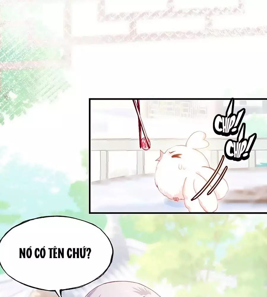 Trẫm Cũng Không Muốn Quá Khí Phách Chapter 31 - Trang 0
