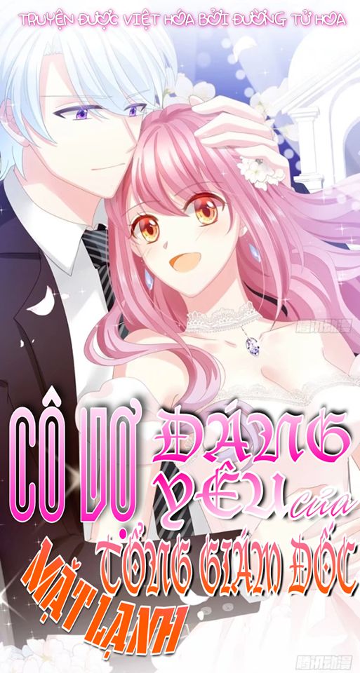 Cô Vợ Đáng Yêu Của Tổng Giám Đốc Mặt Lạnh Chapter 5 - Trang 0