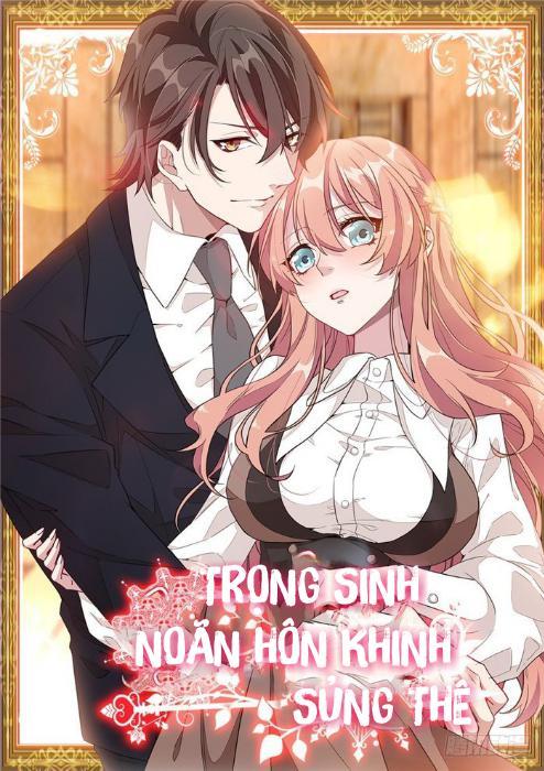 Trọng Sinh Noãn Hôn Khinh Sủng Thê Chapter 2 - Trang 0