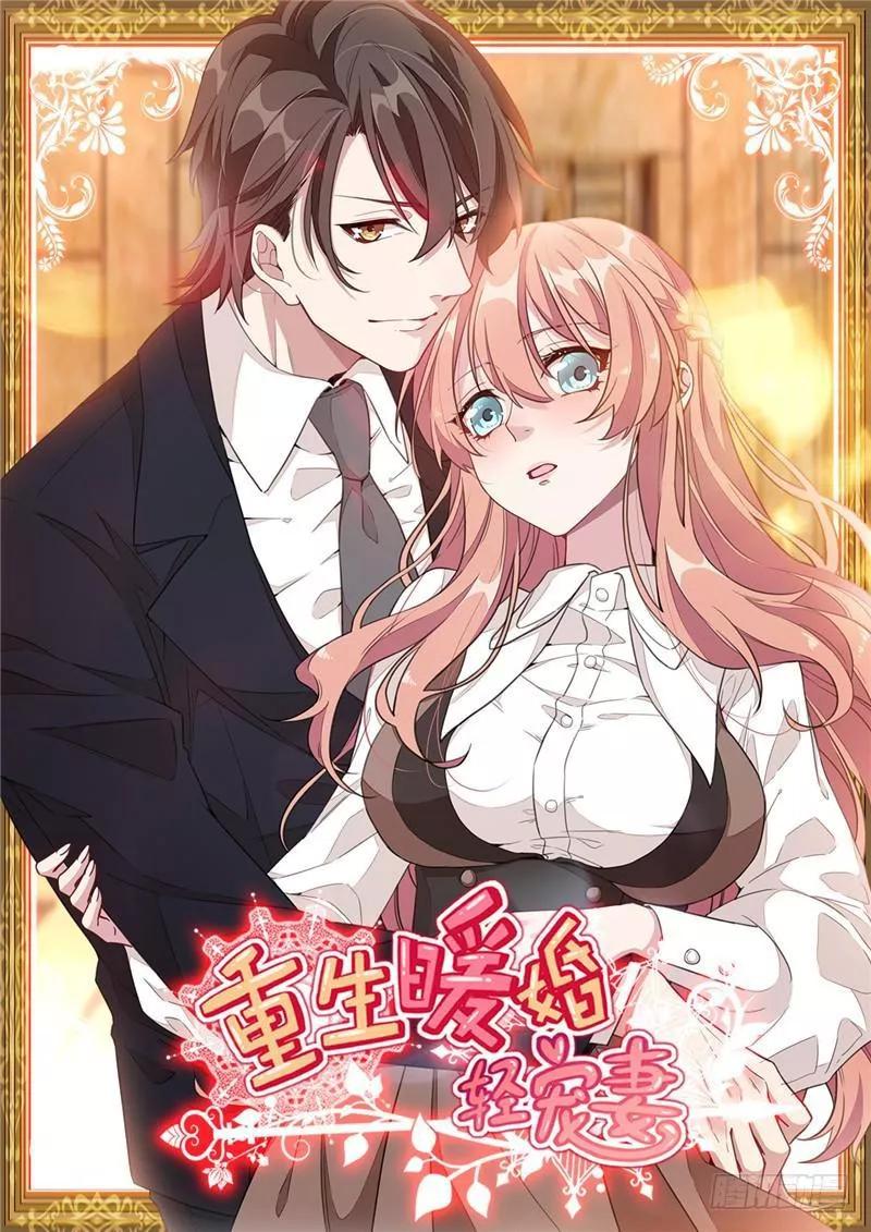 Trọng Sinh Noãn Hôn Khinh Sủng Thê Chapter 1 - Trang 0