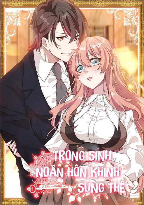 Trọng Sinh Noãn Hôn Khinh Sủng Thê Chapter 23 - Trang 0