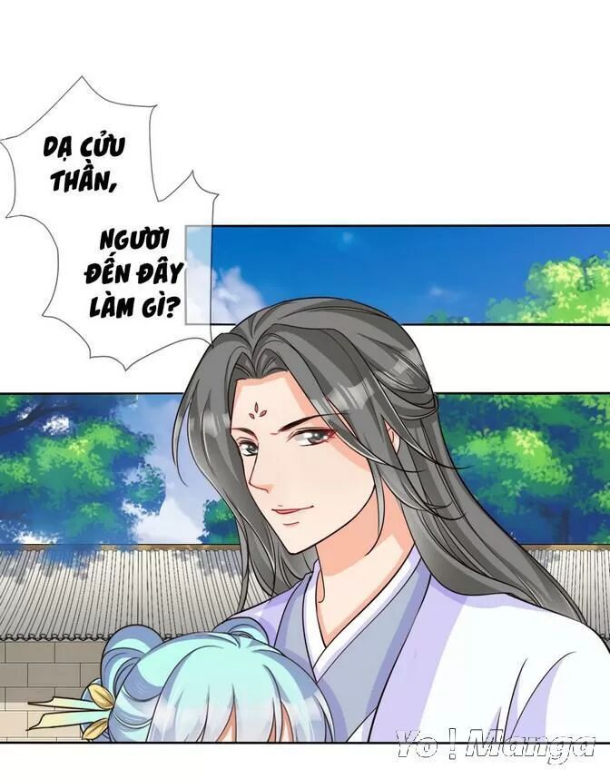 Độc Y Cuồng Phi Chapter 24 - Trang 1