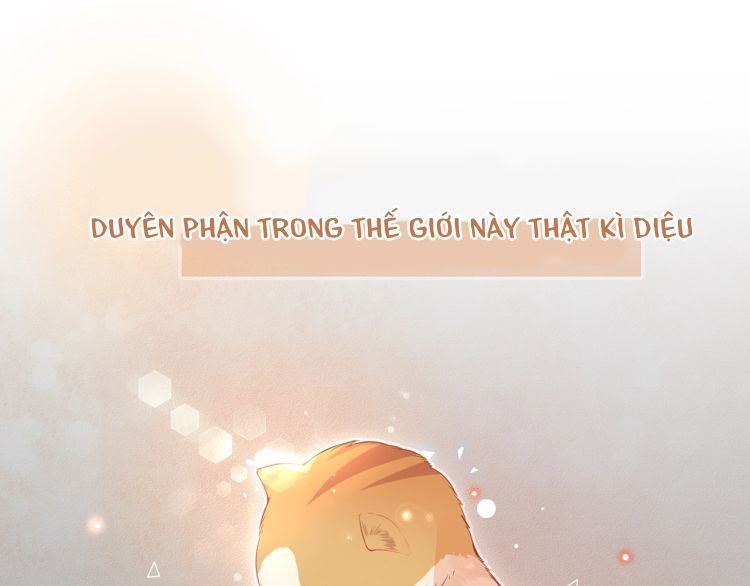 Bên Anh Mới Là Cả Thế Giới Chapter 5 - Trang 0