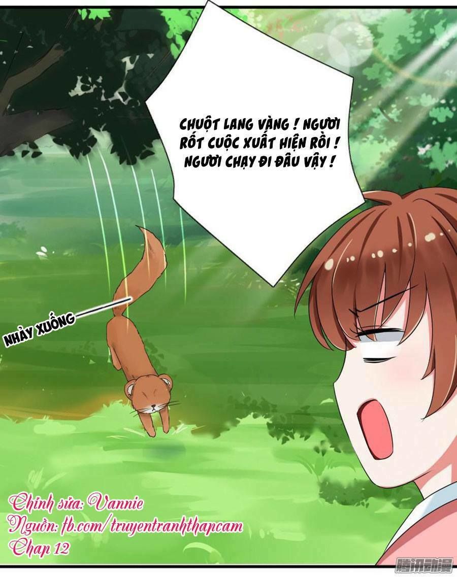 Nhật Ký Nuôi Dưỡng Công Chúa Chapter 12 - Trang 0