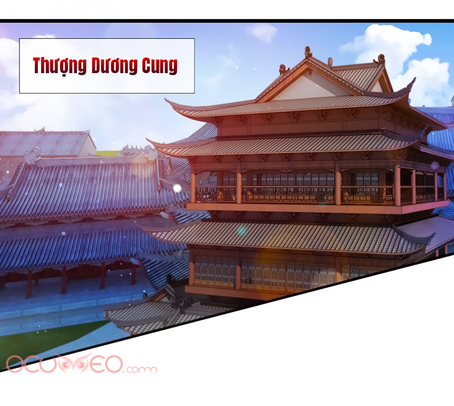 Ôn Nhu Bạo Quân: Nhiếp Chính Vương Gia Quá Hung Mãnh Chapter 3 - Trang 1