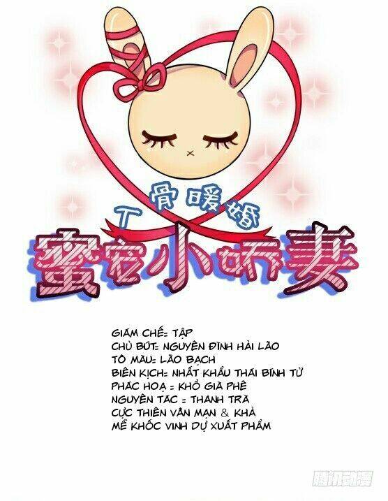 Nhập Cốt Noãn Hôn - Mật Sủng Tiểu Kiều Thê Chapter 1 - Trang 0