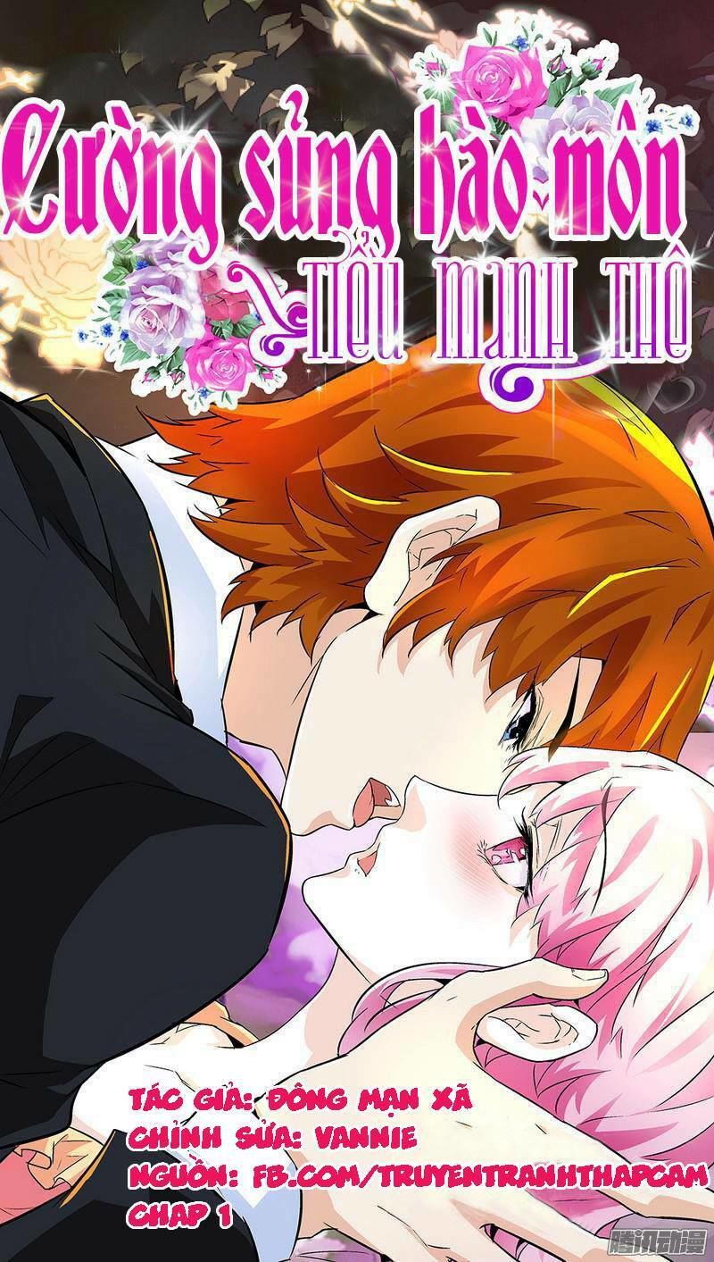 Cường Sủng Hào Môn Tiểu Manh Thê Chapter 1 - Trang 0