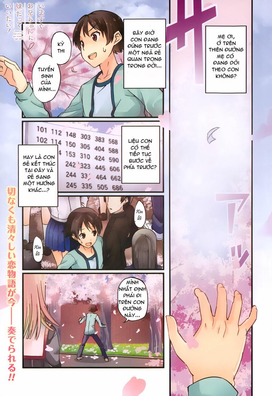 Imasugu Oniichan Ni Imouto Datte Iitai Chapter 1 - Trang 0