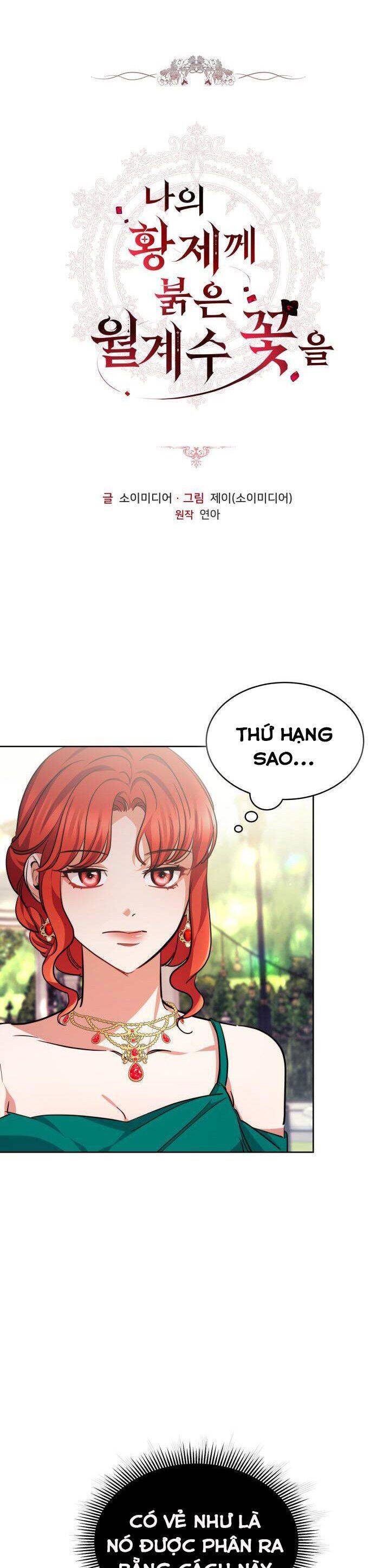 Hoa Nguyệt Quế Đỏ Tặng Hoàng Đế Của Tôi Chapter 11 - Trang 0