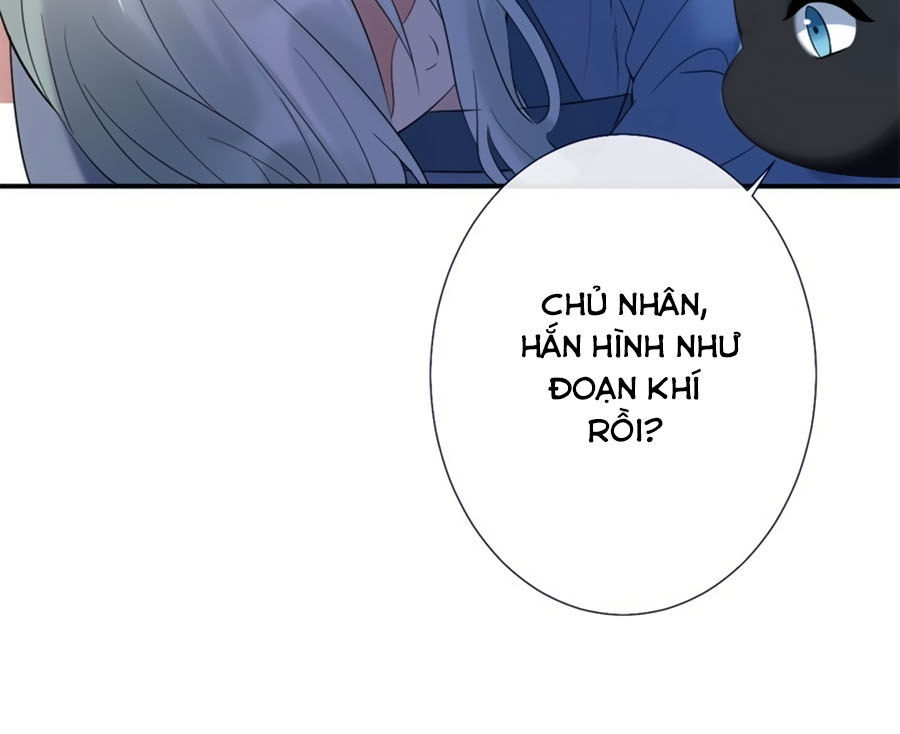 Tuyệt Thế Thần Y: Phúc Hắc Đại Tiểu Thư Chapter 14 - Trang 1