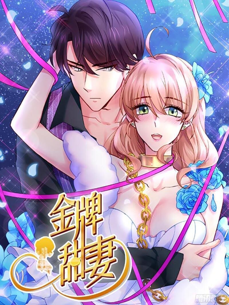Kim Bài Điềm Thê Chapter 223 - Trang 0