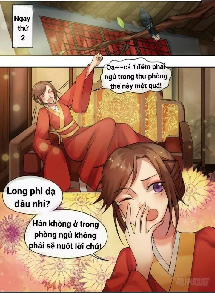 Thiên Tài Tiểu Độc Phi Chapter 8 - Trang 1