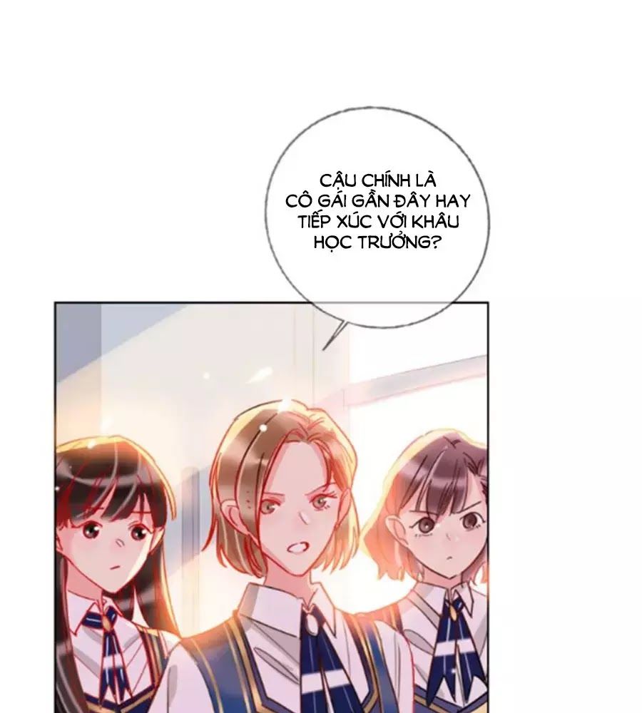 Kế Hoạch Đánh Chiếm Của Công Chúa Nghèo Chapter 36 - Trang 0