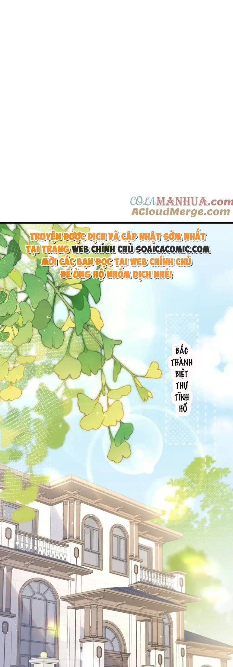 Ta Có Hào Quang Bá Tổng Chapter 13 - Trang 0
