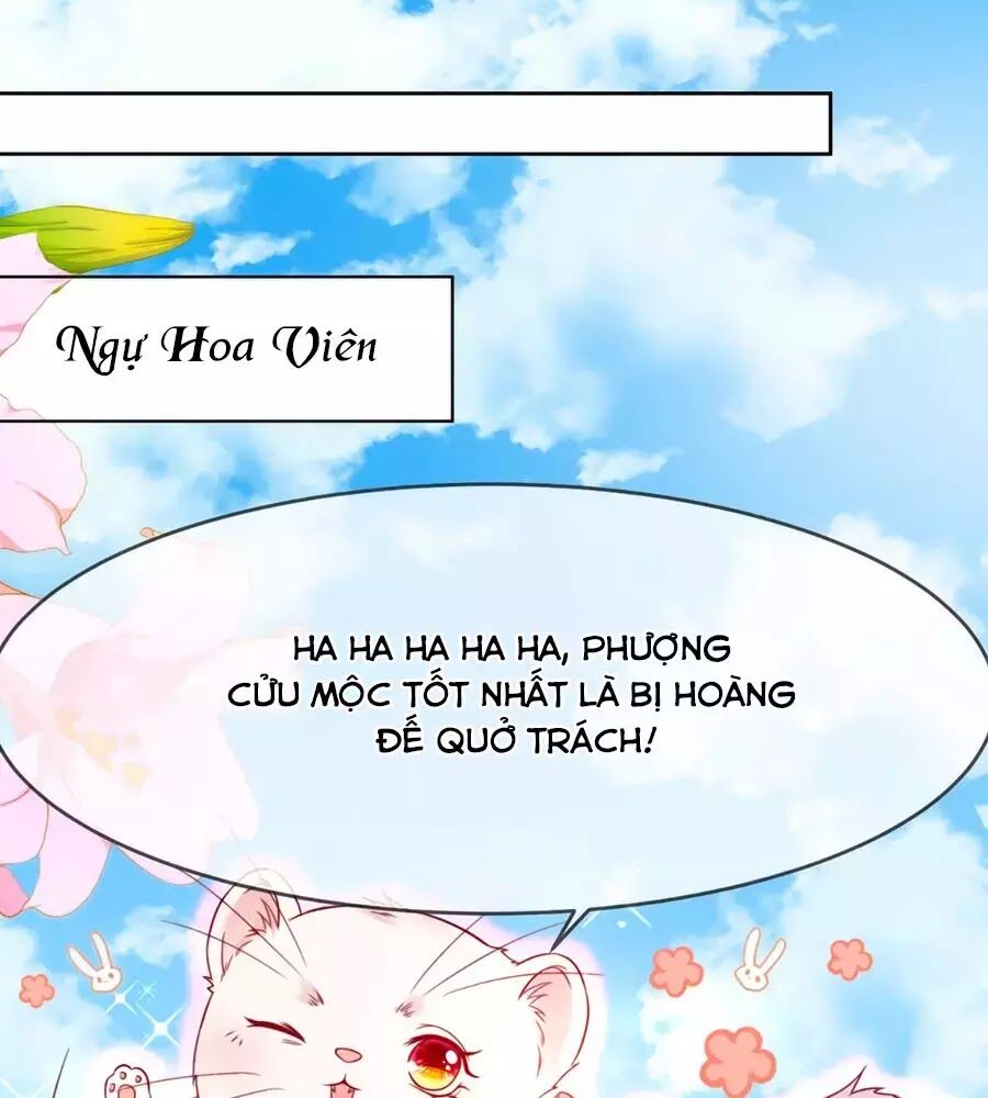 Dưỡng Thú Vi Phi Chapter 5 - Trang 0