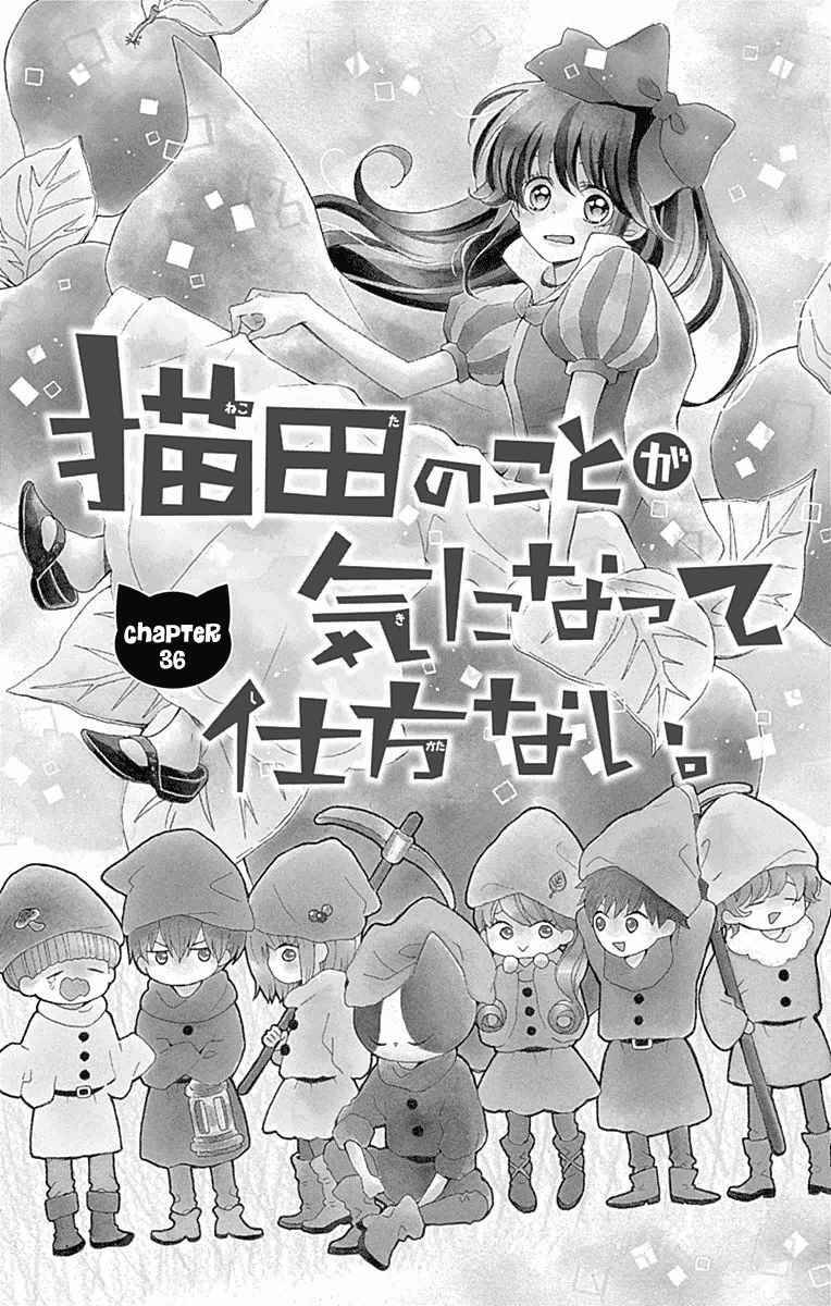Nekota No Koto Ga Ki Ni Natte Shikatanai Chapter 36 - Trang 0