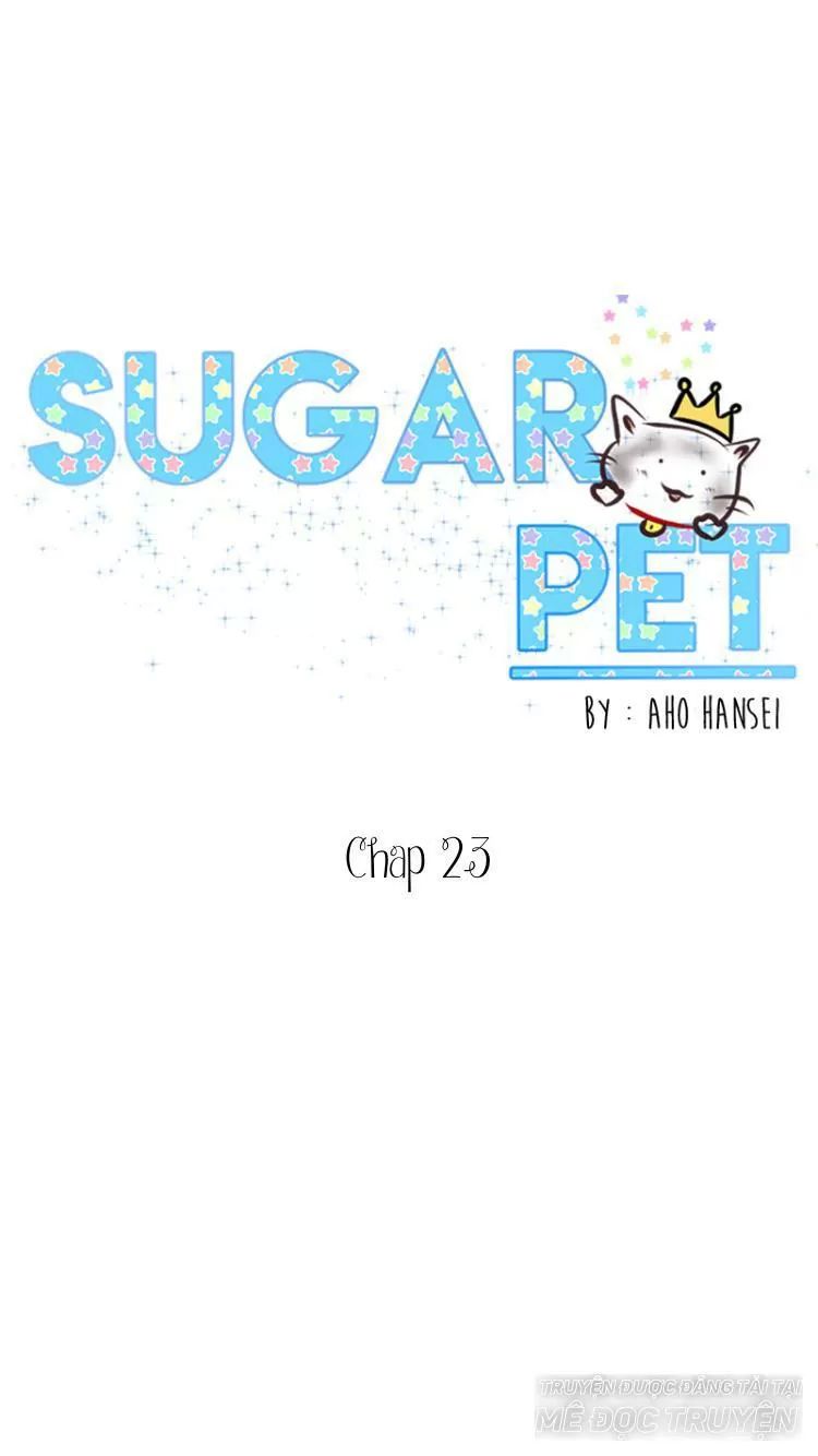 Sugar Pet Chapter 23 - Trang 0