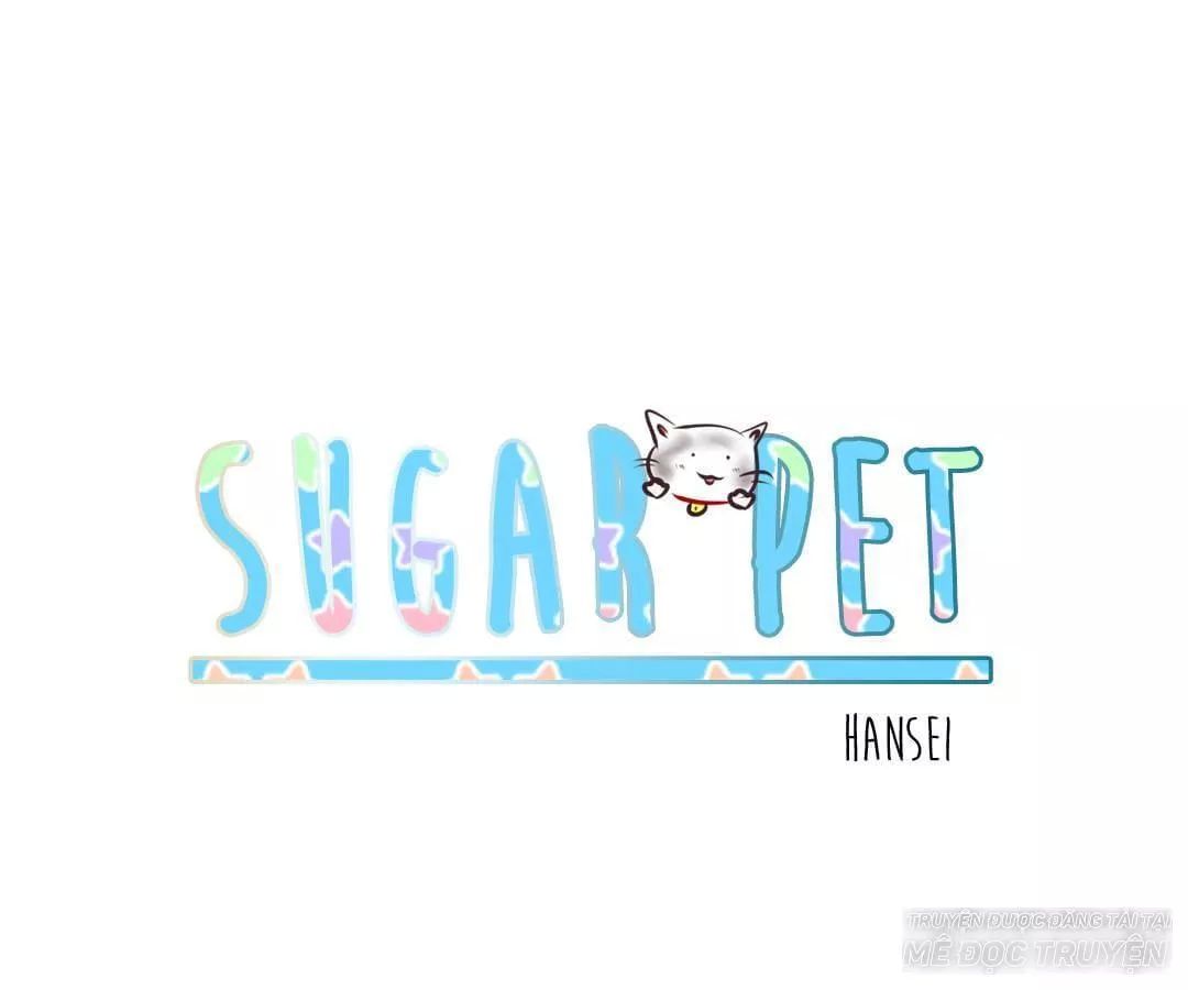 Sugar Pet Chapter 3 - Trang 0