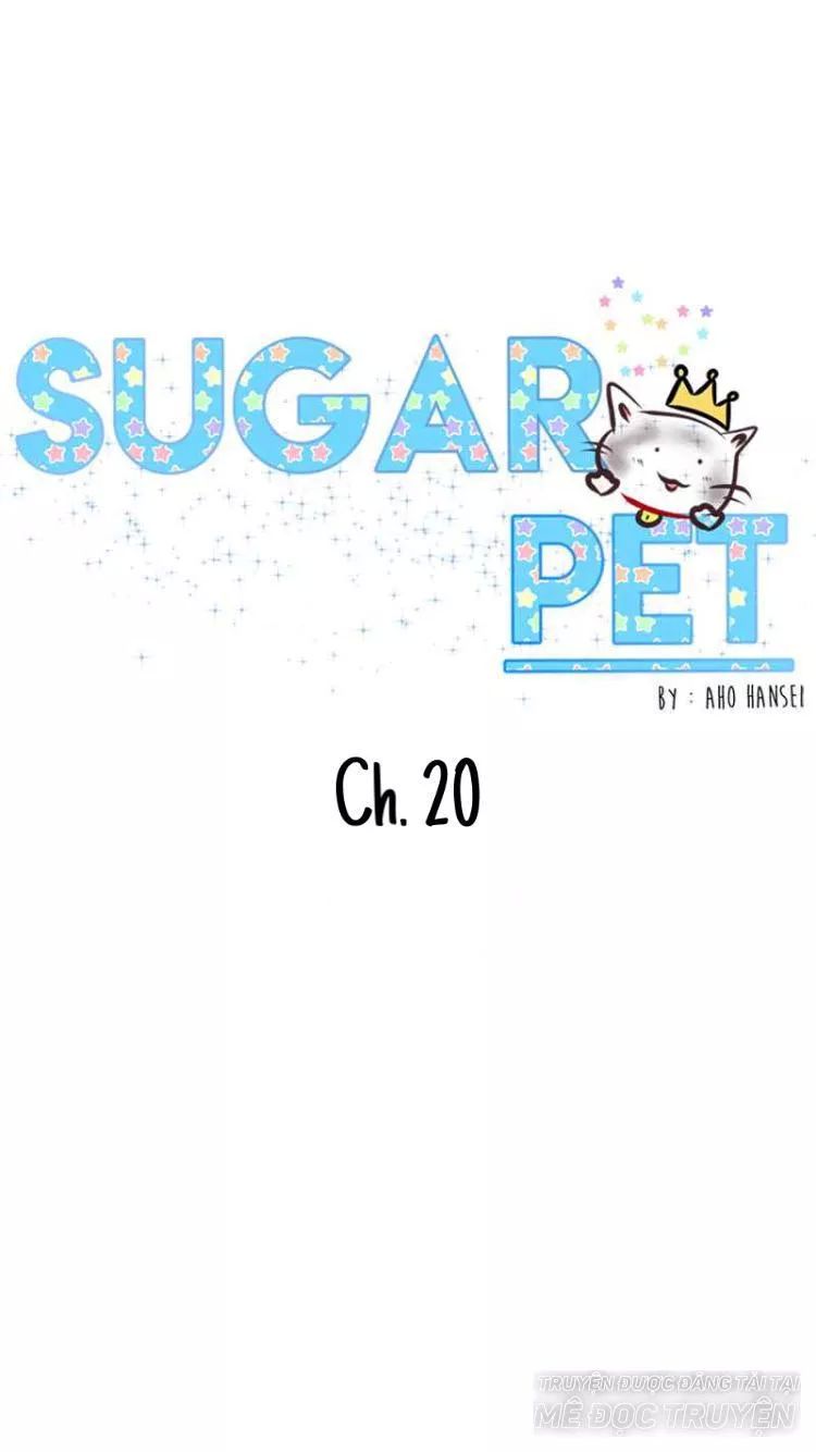 Sugar Pet Chapter 20 - Trang 0