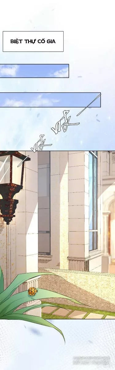 Hôn Sai 55 Lần, Nam Thần Cao Lãnh Ở Sát Vách Chapter 9 - Trang 0