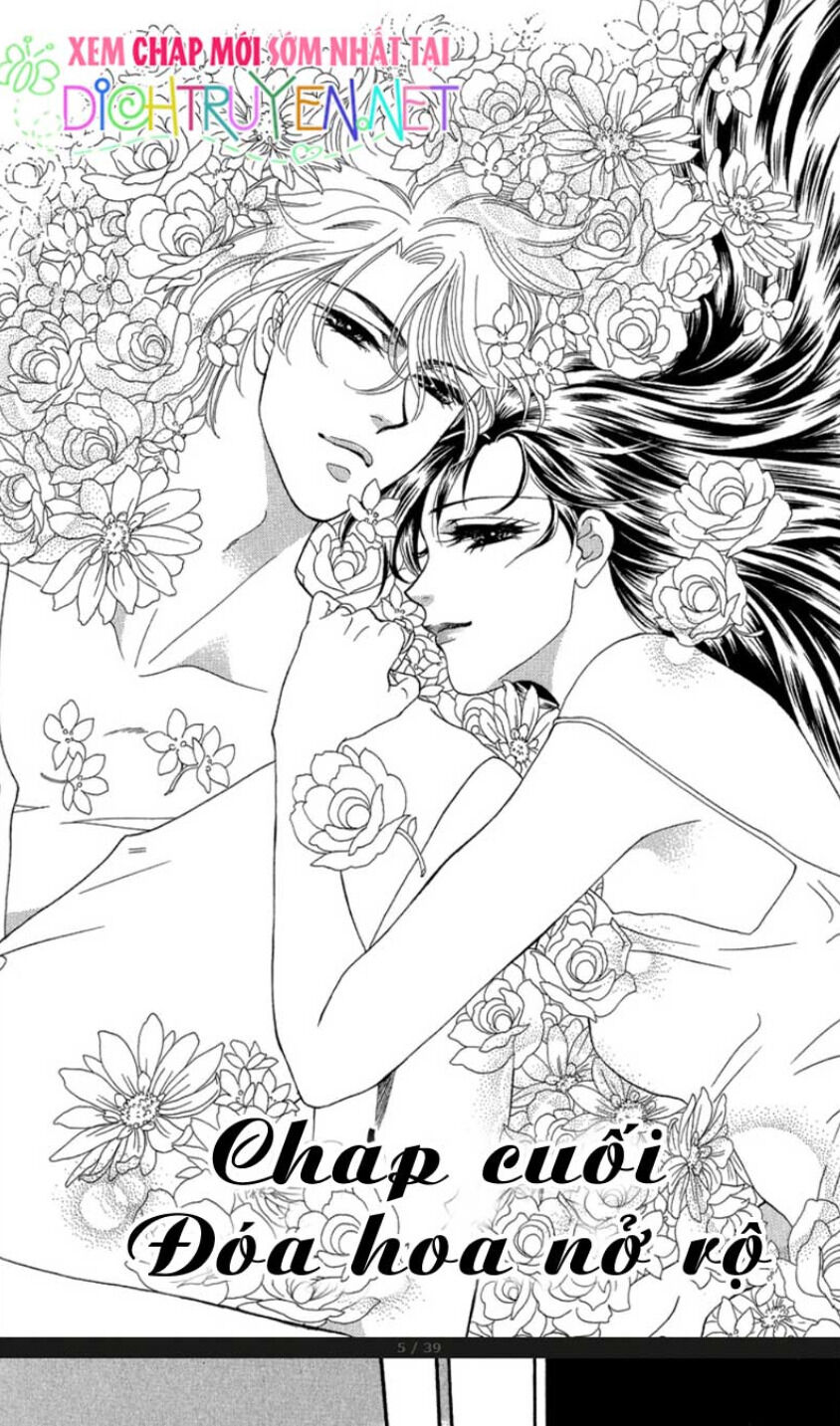 Đóa Hồng Dành Tặng Seri Chapter 20 - Trang 0