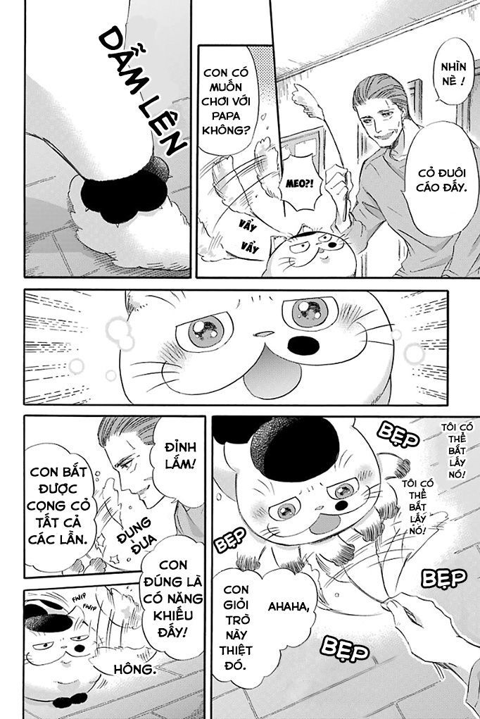 Ông Chú Và Con Mèo Mặt Bựa Chapter 17 - Trang 1
