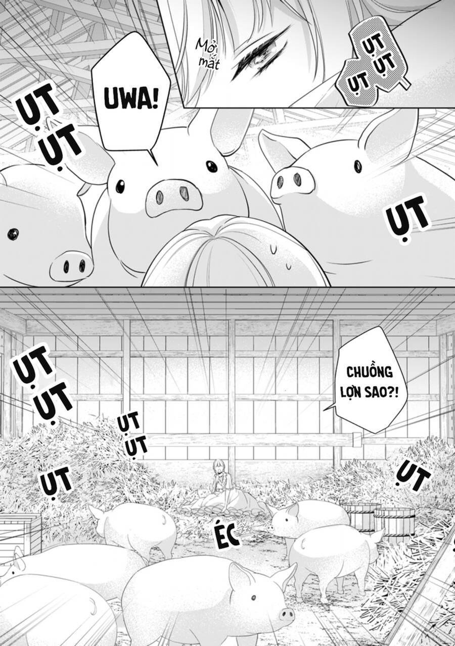 Tôi Sẽ Chết, Nếu Tôi Không Yêu Chapter 6 - Trang 1