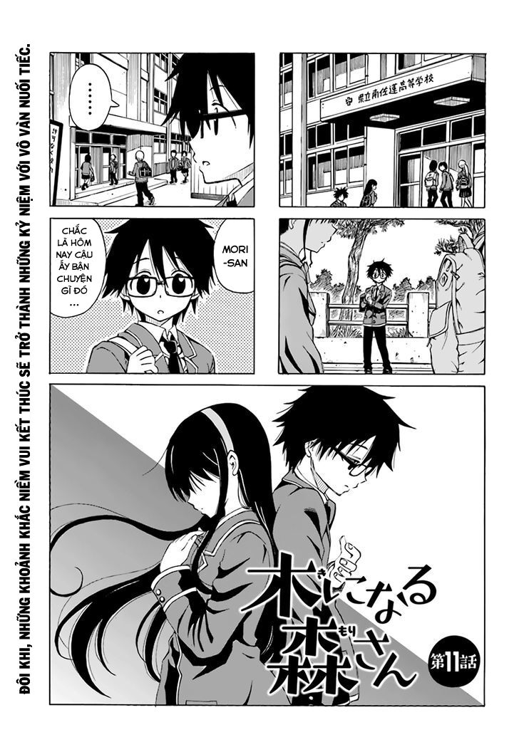 Ki Ni Naru Mori-San Chapter 11 - Trang 0