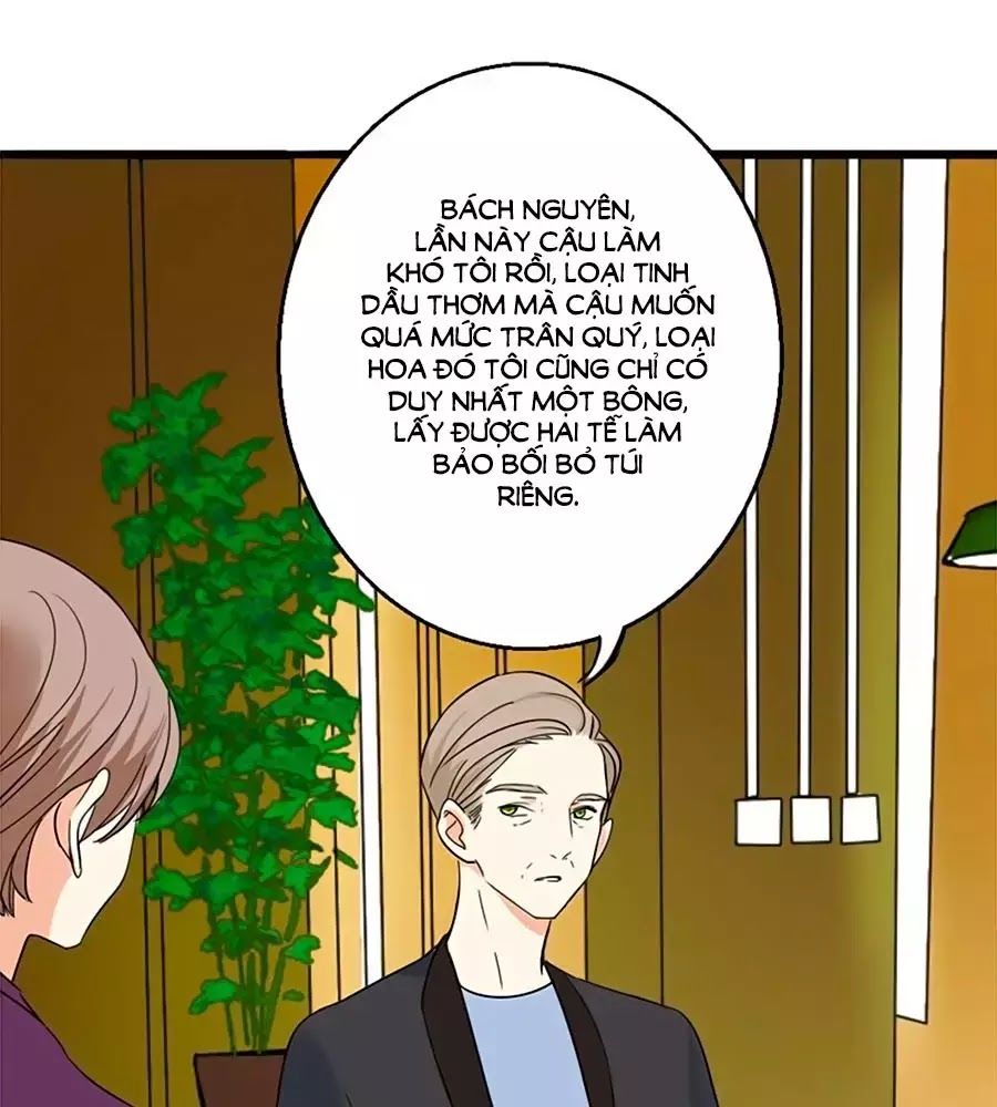 Mùi Hương Lãng Mạn Chapter 13 - Trang 0