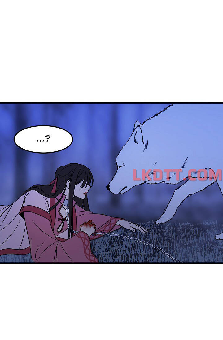 Mylord, Nữ Hoàng Của Loài Sói! Chapter 3 - Trang 1