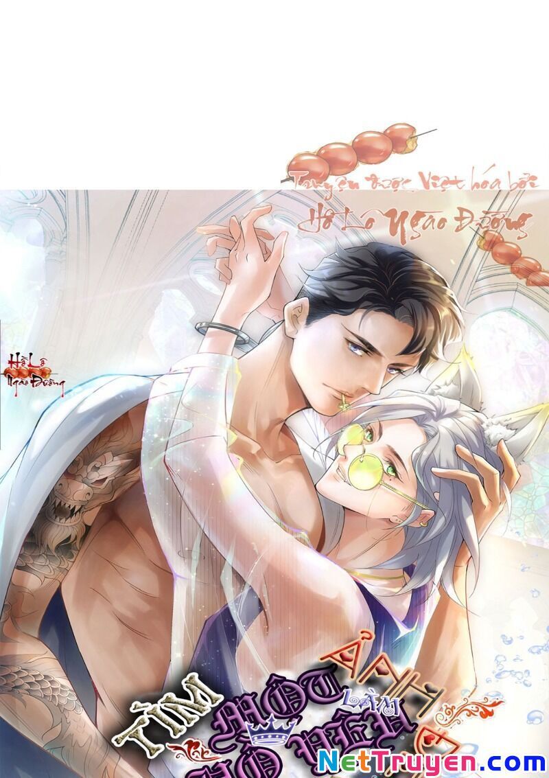 Ảnh Đế Yêu Hồ Chapter 55 - Trang 0