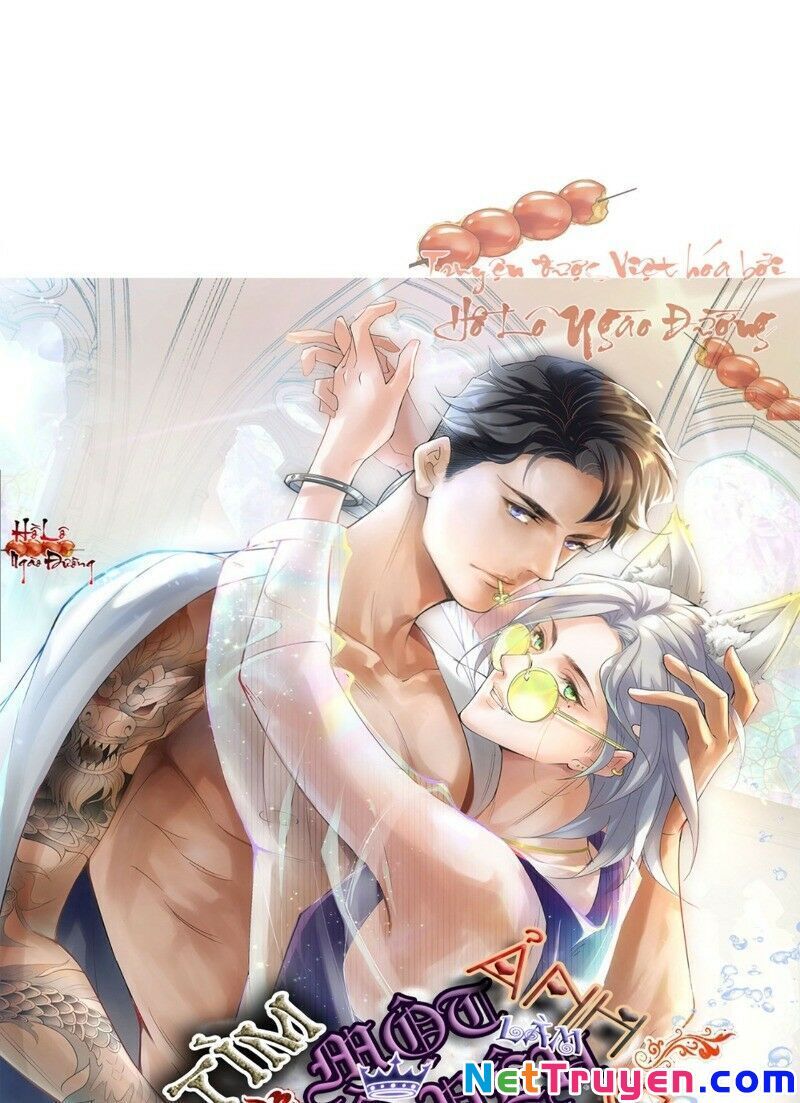 Ảnh Đế Yêu Hồ Chapter 43 - Trang 0